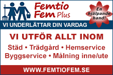 11. Femtio Fem Plus